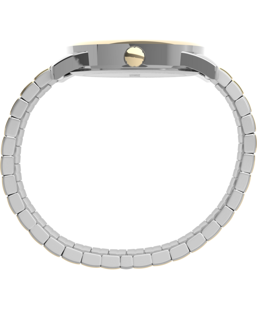 Easy Reader Date 38mm Expansion Band Watch